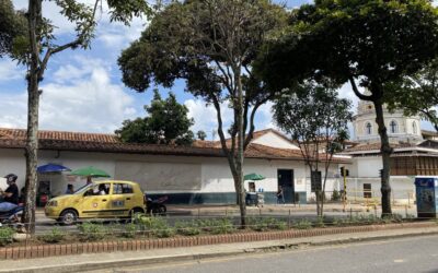 Las plantas endémicas que le dan vida a las calles de Bucaramanga