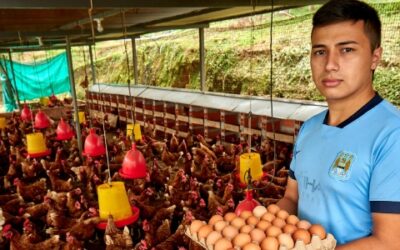 Campesinos en condición de vulnerabilidad reciben más de mil gallinas ponedoras