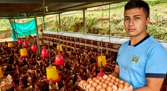 Campesinos en condición de vulnerabilidad reciben más de mil gallinas ponedoras