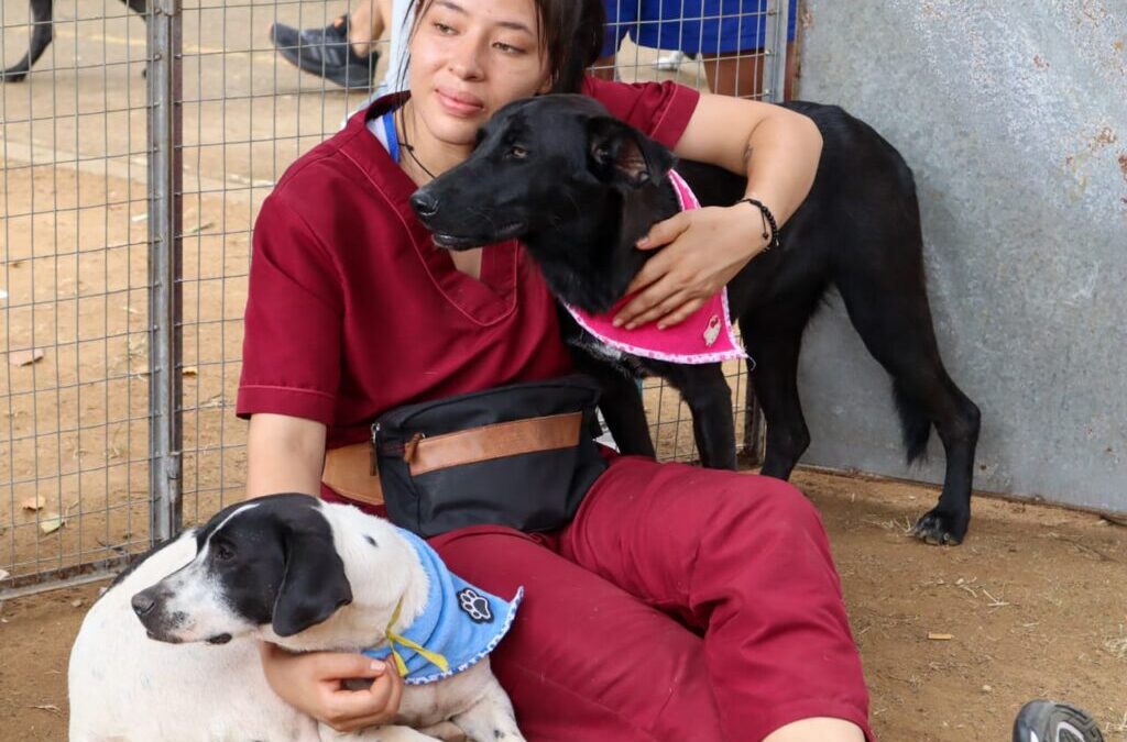Este domingo tendremos jornada de adopción y vacunación animal en el Parque de Los Niños