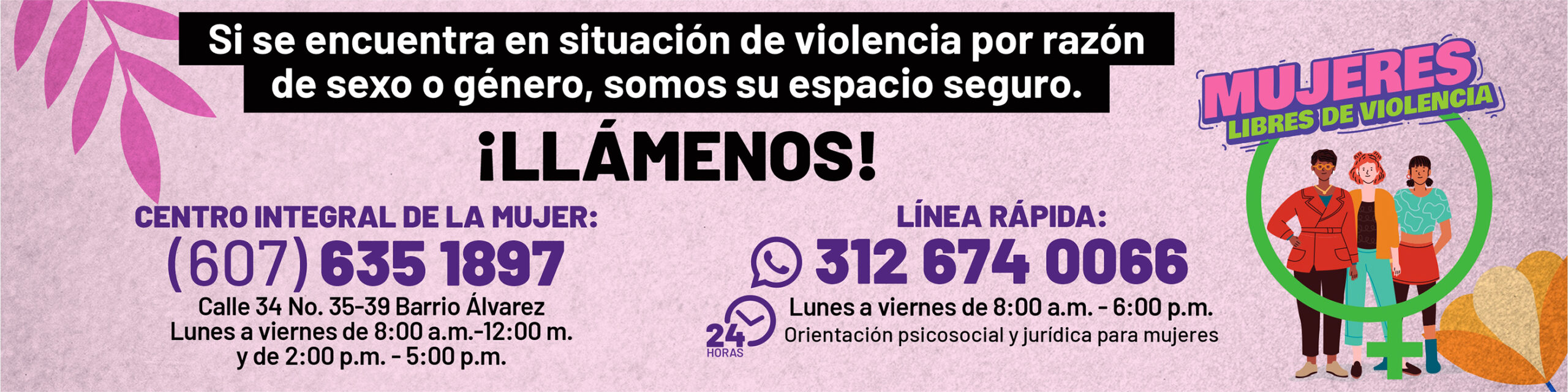 CENTRO INTEGRAL DE LA MUJER DATOS