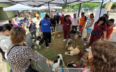 Aproveche la oportunidad para conocer a un amigo de cuatro patas