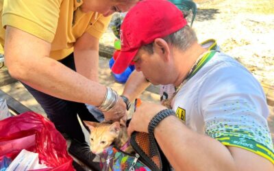 Este domingo habrá jornada de vacunación contra la rabia en seis puntos de la ciudad