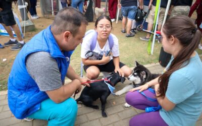 El próximo 10 y 17 de septiembre se realizarán jornadas de adopción