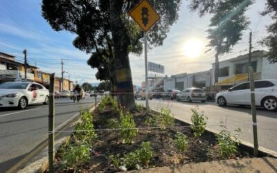 El separador de la calle 45 tendrá más plantas y menos cemento