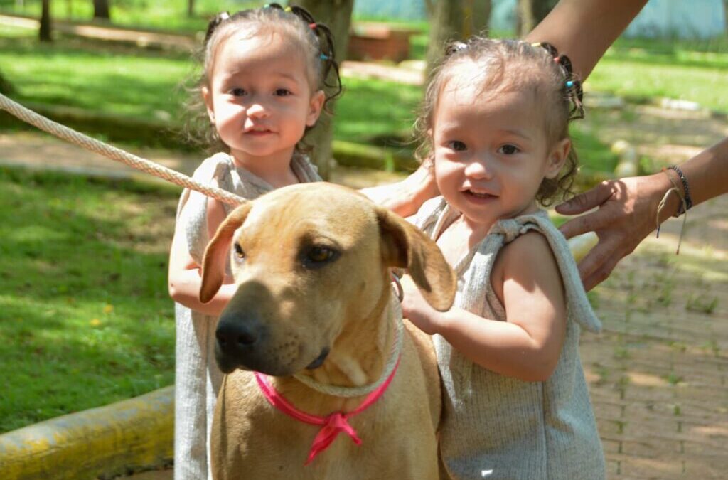 ¡Vuelven nuestras jornadas de adopción animal y este domingo es la primera!