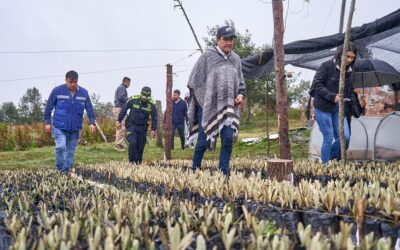 Conozca la Política Pública Ambiental de Bucaramanga