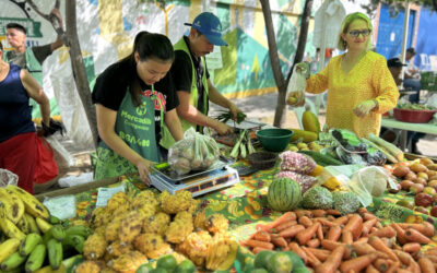 Así fortalecen la economía rural los Mercadillos Campesinos