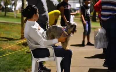 Así puede denunciar casos de maltrato animal