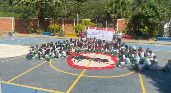 Con campañas pedagógicas colegios oficiales previenen el dengue