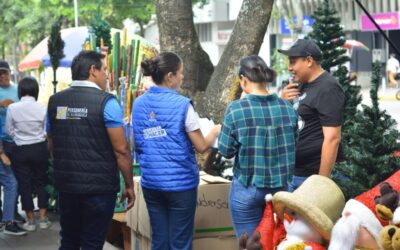 Intensifican jornadas de caracterización en espacio público del centro