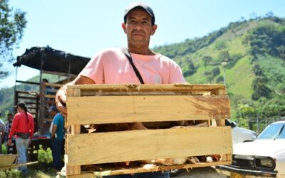 Campesinos en condición de discapacidad y víctimas del conflicto armado recibieron 1.500 gallinas ponedoras