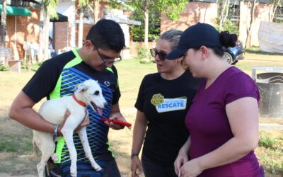 La Unidad de Bienestar Animal no es una clínica veterinaria especializada; es  un espacio para recibir, cuidar y donar animales desprotegidos