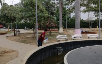 Así combatimos el mosquito transmisor del dengue en su fase larvaria