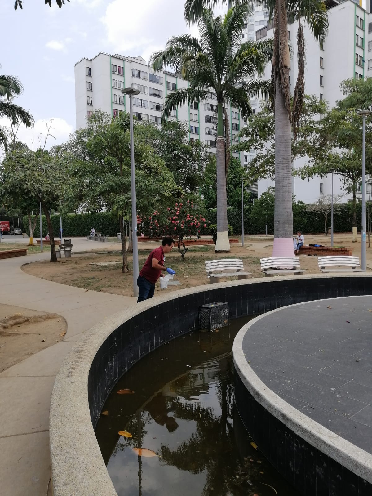 Así combatimos el mosquito transmisor del dengue en su fase larvaria
