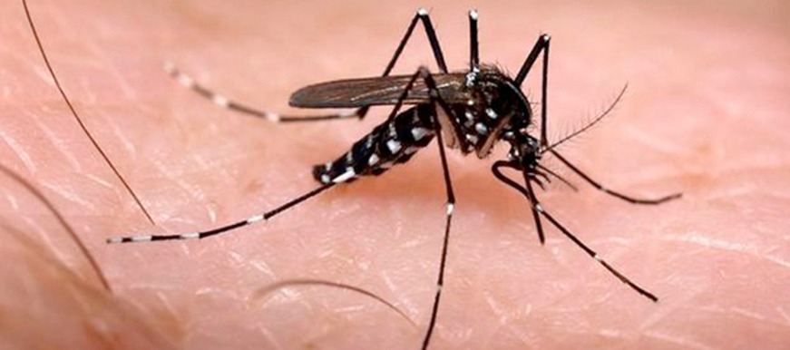 Bucaramanga declara alerta amarilla hospitalaria por aumento de casos de dengue