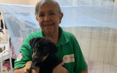 No permita que el dengue llegue a su casa