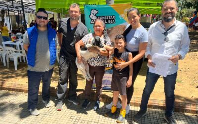 Unidad de Bienestar Animal UBA ya cuenta con una línea de acción inmediata