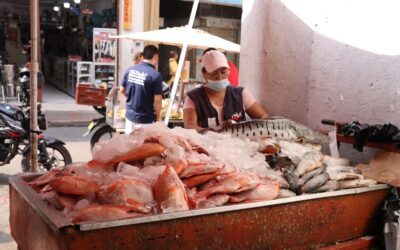Operativos de verificación y control en la venta de pescado y carnes en Semana Santa