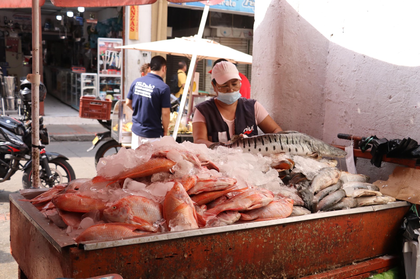 Operativos de verificación y control en la venta de pescado y carnes en Semana Santa