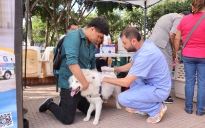 Primera jornada de adopción animal