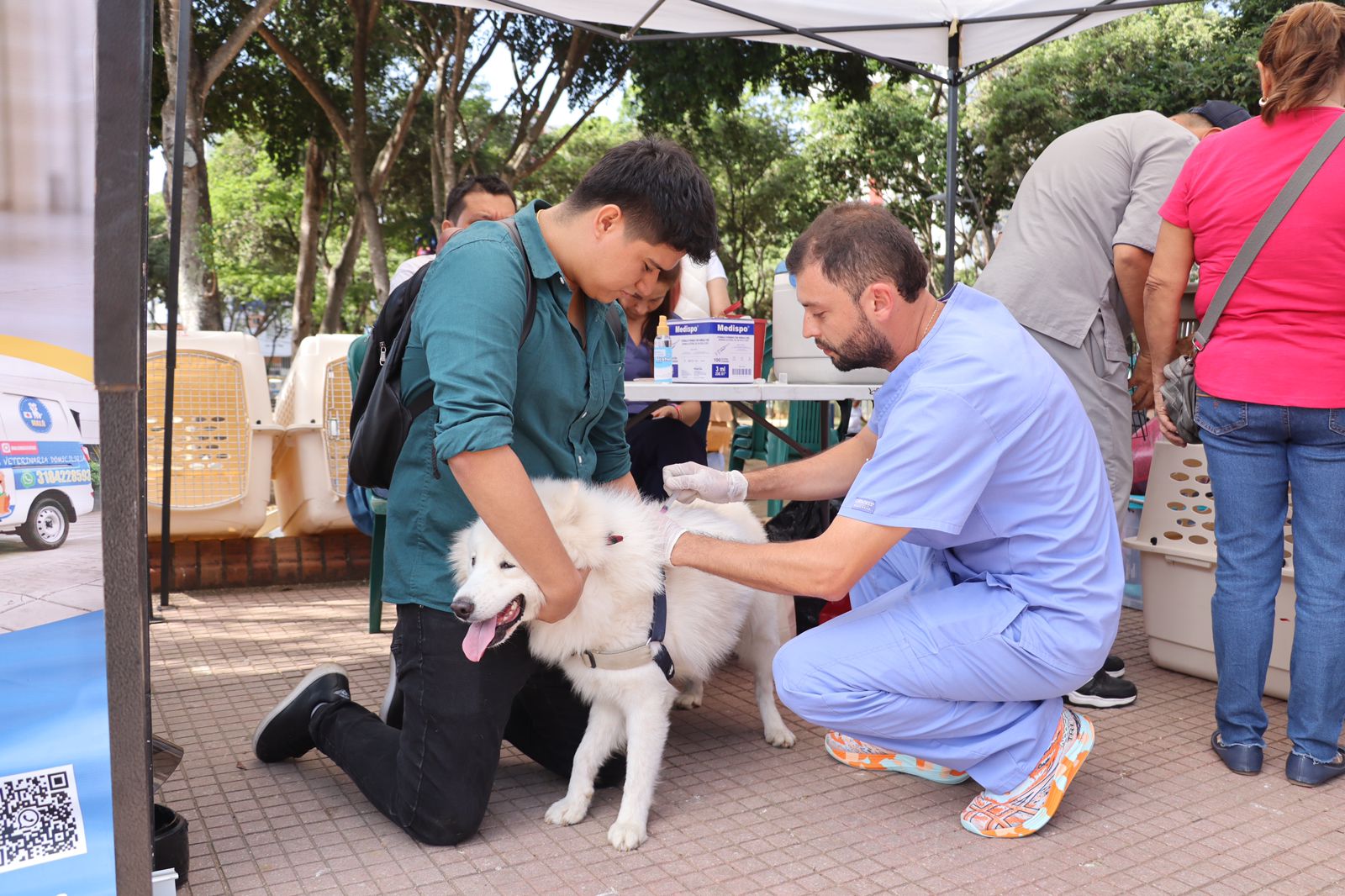Primera jornada de adopción animal