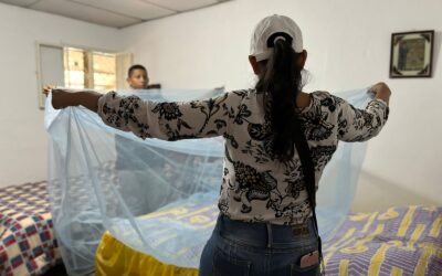En incremento los casos por Dengue en Bucaramanga