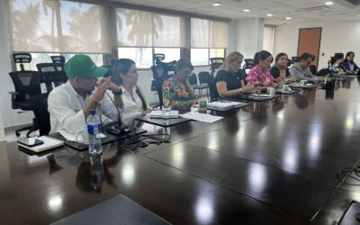  Realización del Segundo Comité Articulador para el Abordaje Integral de las Violencias por Razones de Sexo o Género