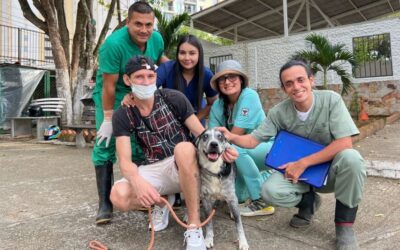 ‘Lucas’, el canino ciego rescatado en un abismo, ya regresó a su casa en Bucaramanga