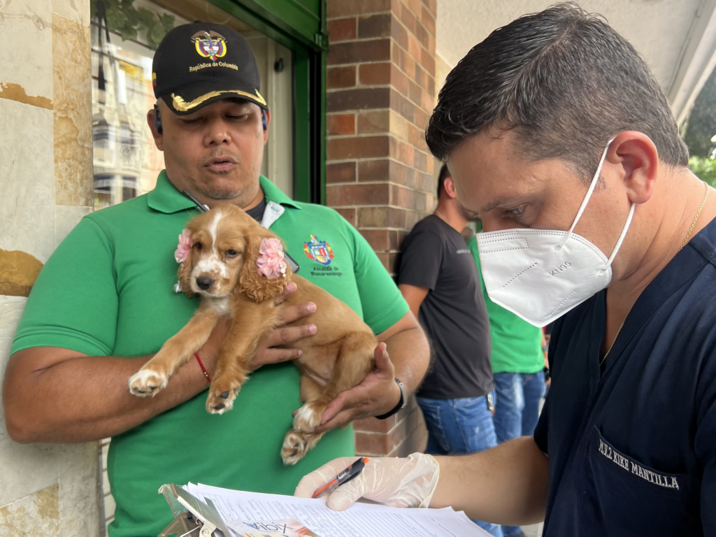 Operativos contra la venta ilegal de animales en espacio público.