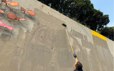 Alcaldía de Bucaramanga hace restauración del muro del Camino de las Hormigas