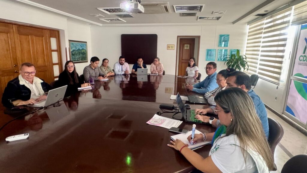 Se incorporarán estudios AVR de las comunas 10, 11 y 14 en el POT