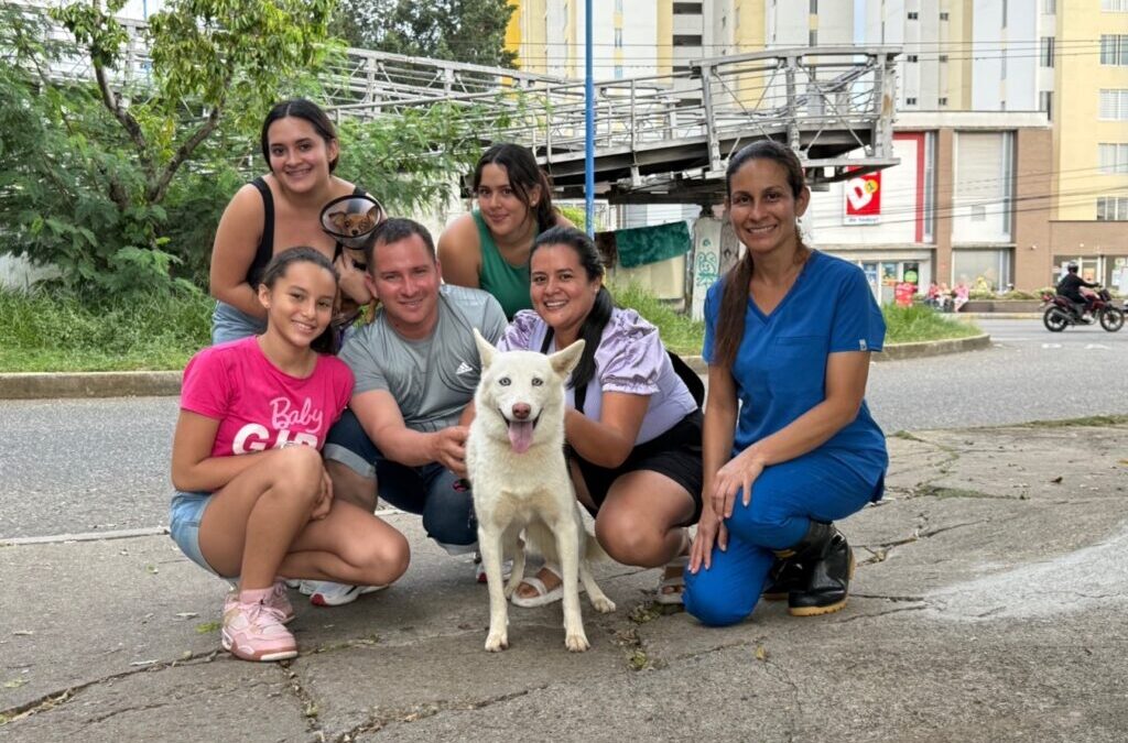 Sasha: De un oscuro pasado a un futuro lleno de esperanza