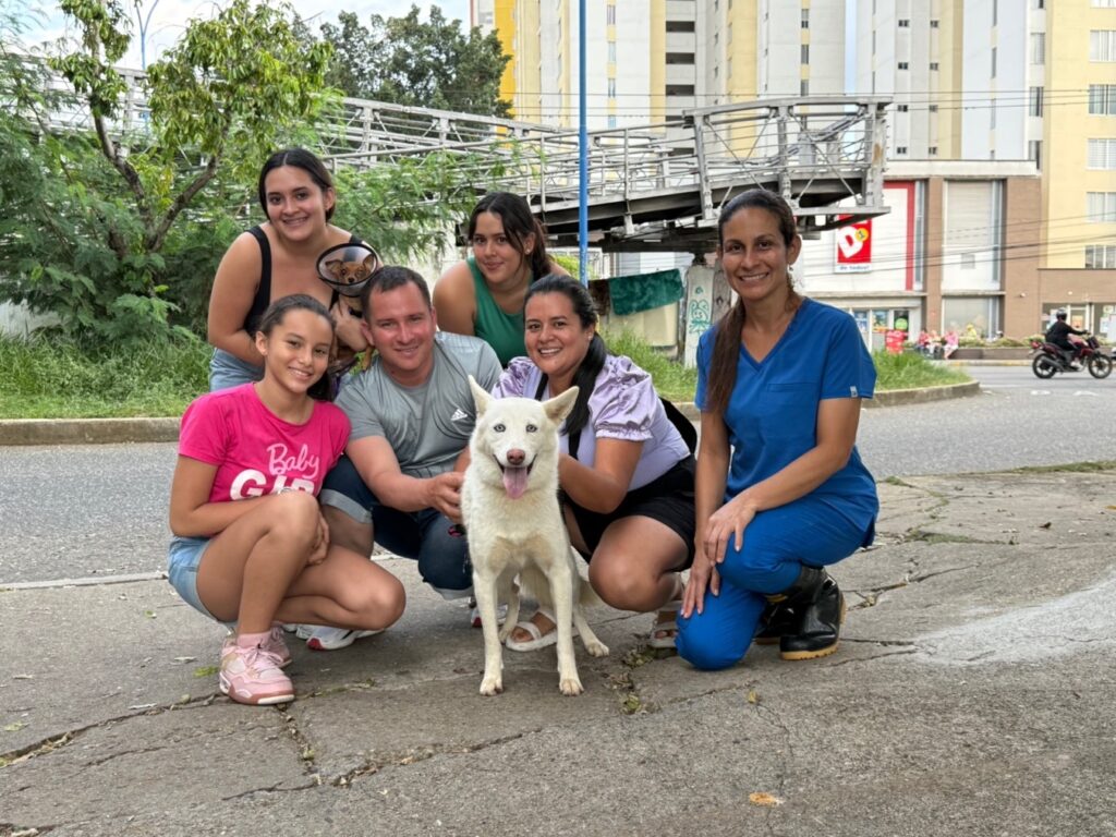 El rescate de Sasha una perrita maltratada