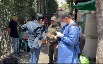 Cinco sanciones impuestas en Bucaramanga por venta ilegal de animales