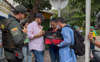 Controles en la calle 36 reducen drásticamente la venta de animales en espacio público