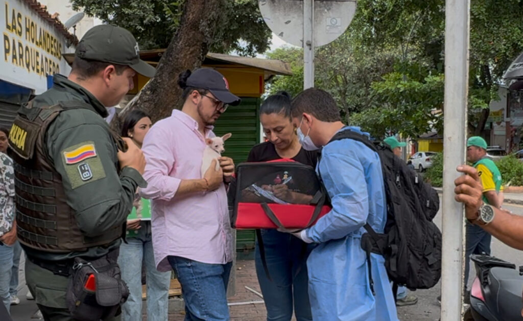 Controles en la calle 36 reducen drásticamente la venta de animales en espacio público