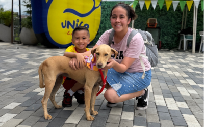 Dos historias de esperanza: Lucas y Tamy encontraron hogar en jornada de adopción animal
