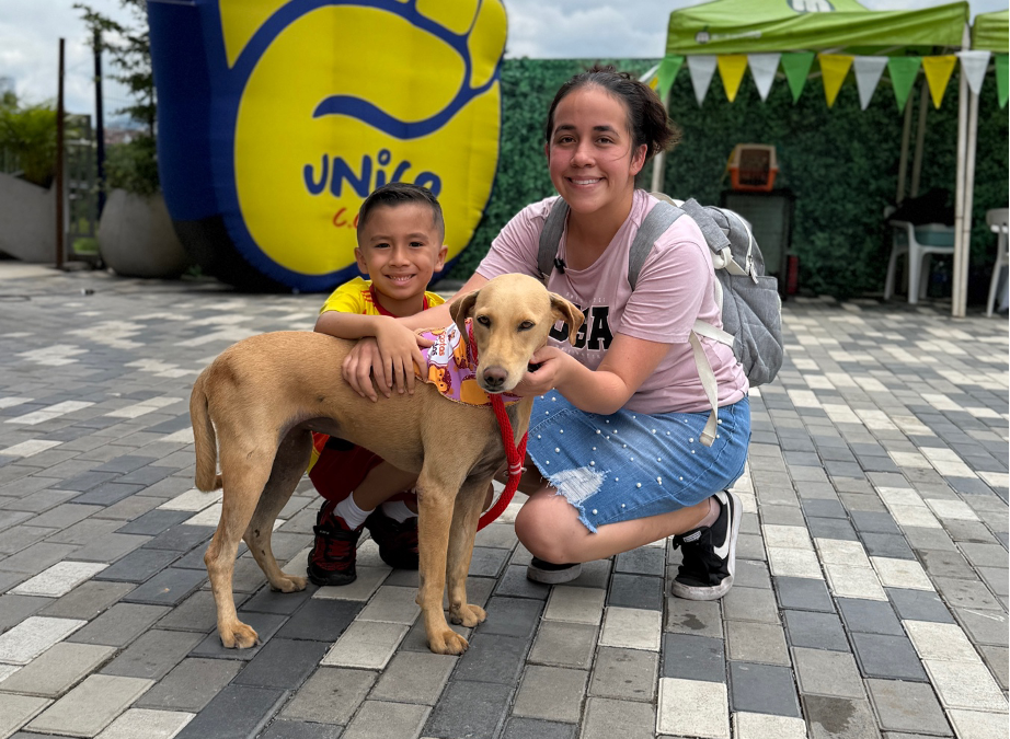 Dos historias de esperanza: Lucas y Tamy encontraron hogar en jornada de adopción animal