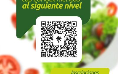 IMEBU abre nueva convocatoria de formación gratuita