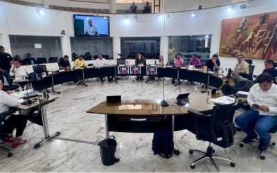 Liderazgo en Bienestar Animal: Bucaramanga hace Historia con Recursos Garantizados