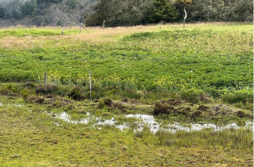 Bucaramanga avanza en la verificación de predios estratégicos para la conservación del recurso hídrico