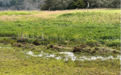 Bucaramanga avanza en la verificación de predios estratégicos para la conservación del recurso hídrico