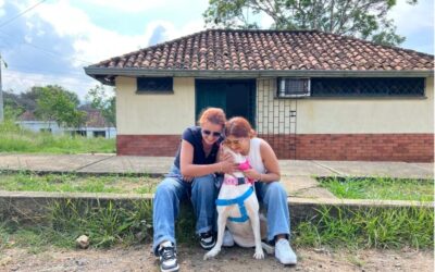 Bucaramanga celebra el Día Mundial del Perro con acciones reales por el bienestar animal