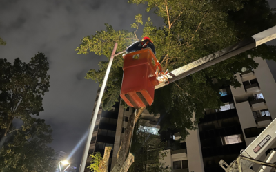 Más de 230 barrios y tres corregimientos beneficiados con 5 mil luminarias