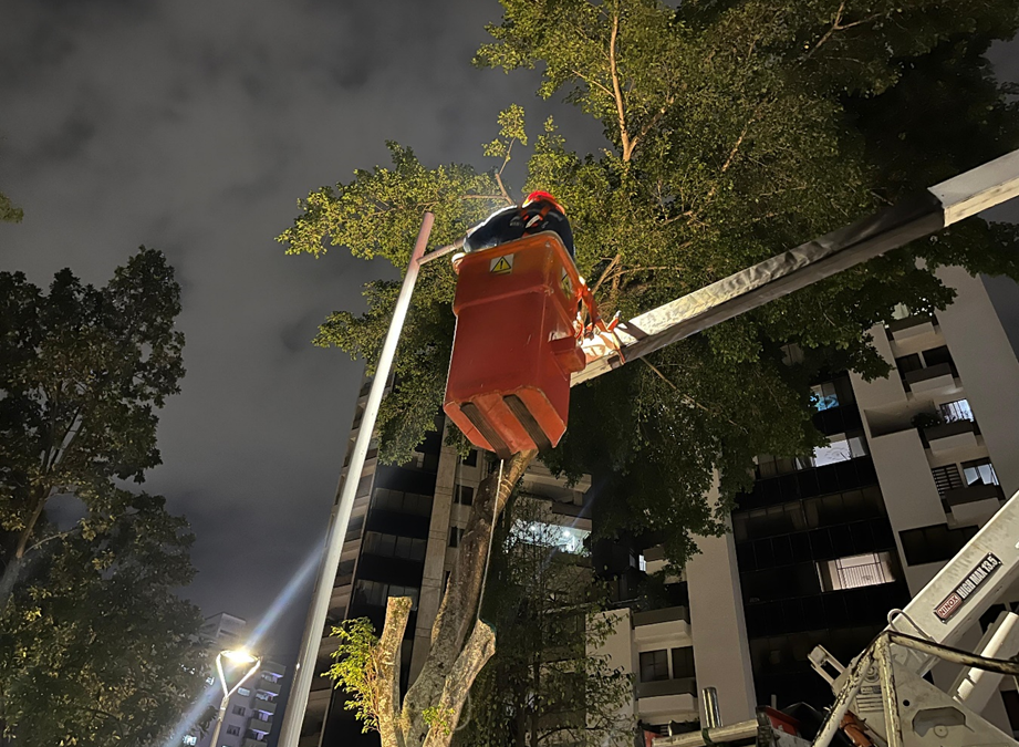Más de 230 barrios y tres corregimientos beneficiados con 5 mil luminarias