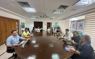 Avanza la concertación de estudios de AVR