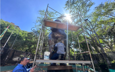 Inició la restauración de la Gorda Botero en San Pío