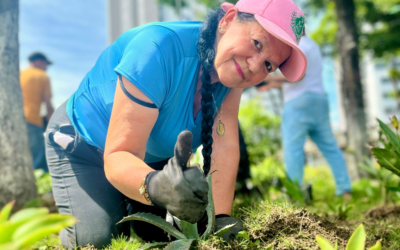 Más de 150 plantas fueron sembradas en Provenza