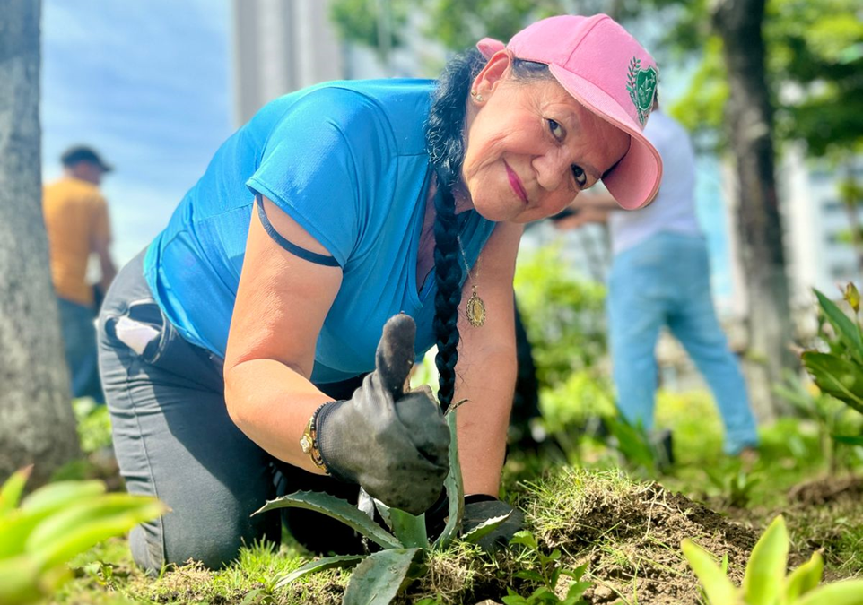 Más de 150 plantas fueron sembradas en Provenza